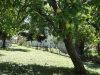 dsc00044